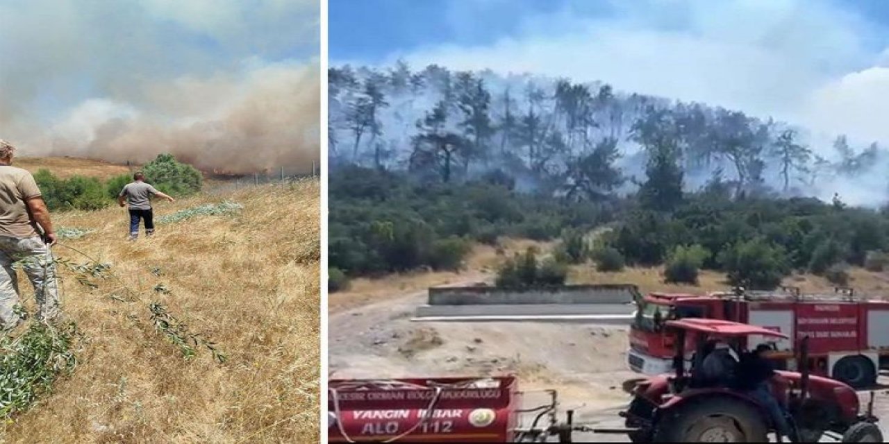 Balıkesir'i Dumanlar Sardı: 3 Ayrı Noktadan Alevler Yükseldi