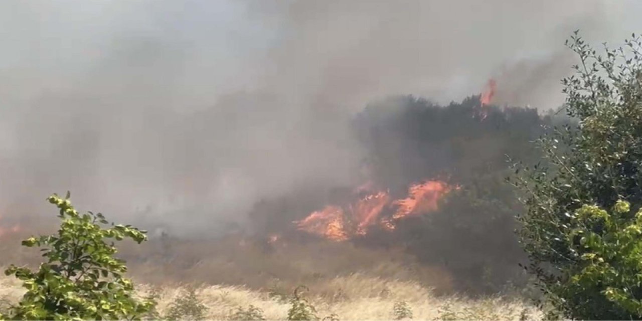 Çanakkale'de Ormanlık Alanda Çıkan Yangına Müdahale Ediliyor