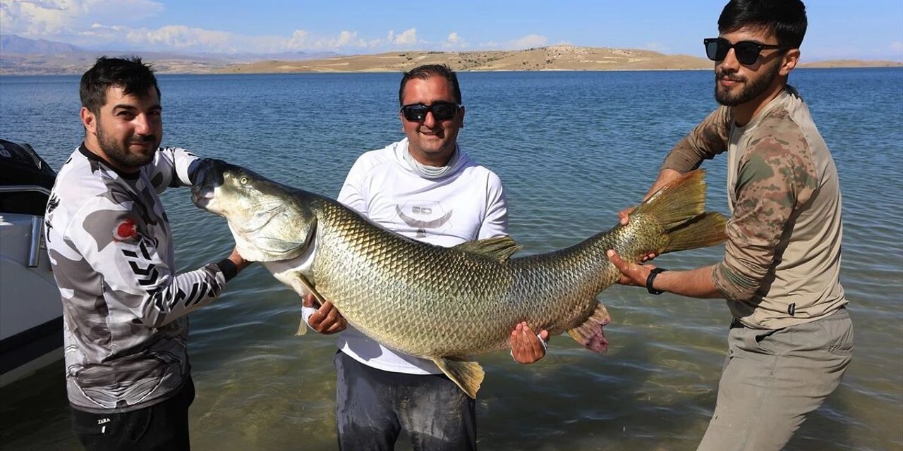 Elazığ'da Sportif Balıkçı 1,7 Metrelik Turna Balığı Yakaladı