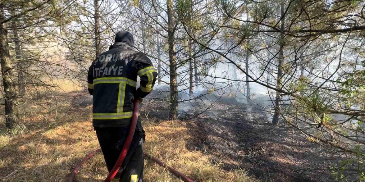 Artan Sıcaklıklarda Yangınlara Karşı Hayati Uyarı: Yüzde 90'dan Fazlası İnsan Kaynaklı