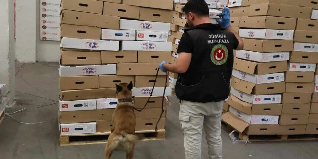 Kapıkule Gümrük Kapısı'nda 1,2 Ton Uyuşturucu Ele Geçirildi