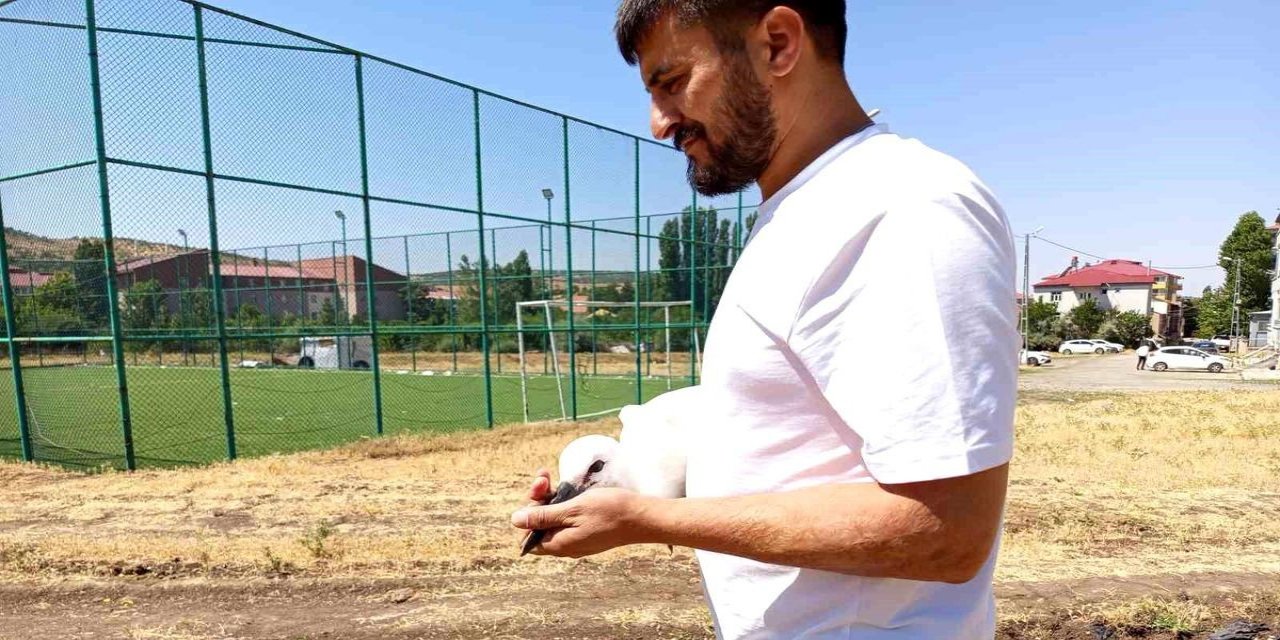 Yavru Leylek Doğaya Bırakıldı