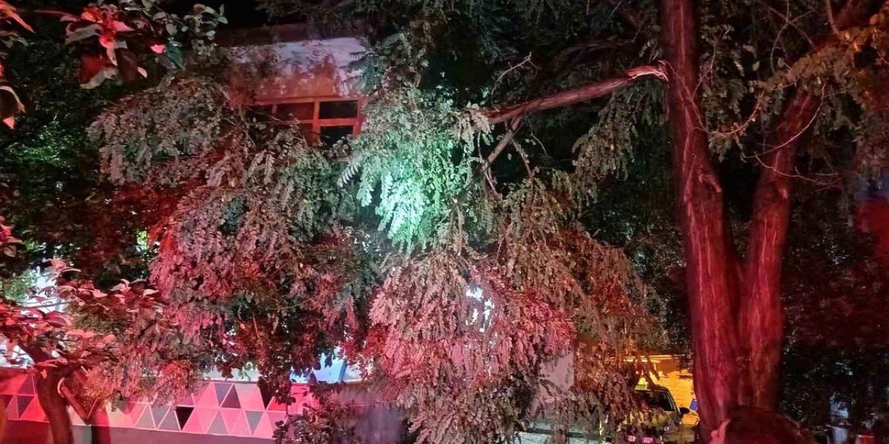 Erdek'te Fırtına Ve Dolu Yağışı: Ağaçlar Devrildi, Çatılar Uçtu