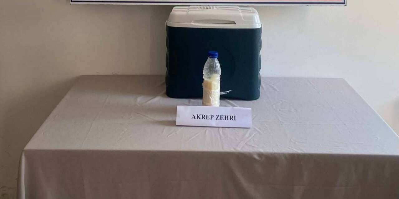 Vücuda Girdiği An Öldürüyor Ama Hazine Değerinde! Suriye’den Gelen Servet Yalova'da Ele Geçirildi
