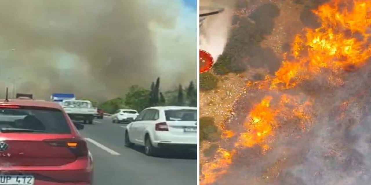 Manisa'nın Akhisar İlçesinde Ormanlık Alanda Yangın