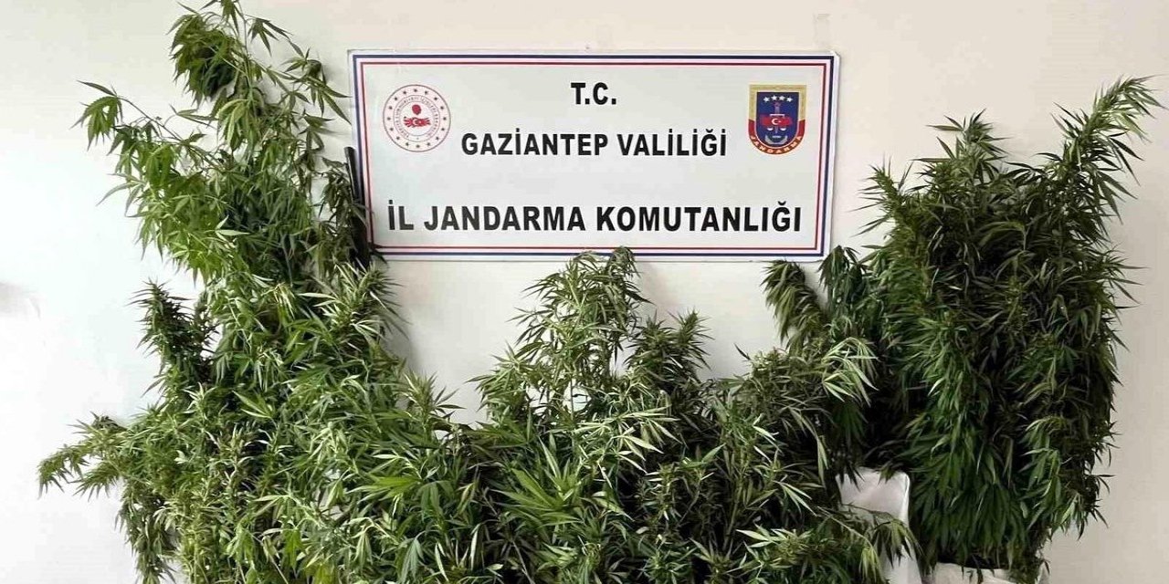 Gaziantep'te Kenevir Operasyonu