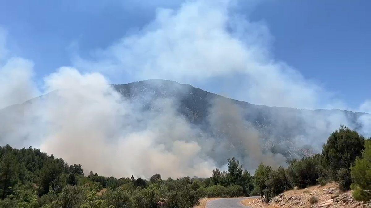 Akseki'de Orman Yangını
