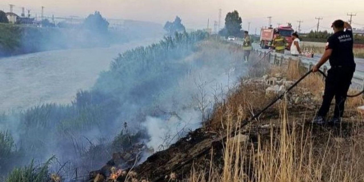 Asi Nehri'nde Sazlık Yangını Kontrol Altına Alındı