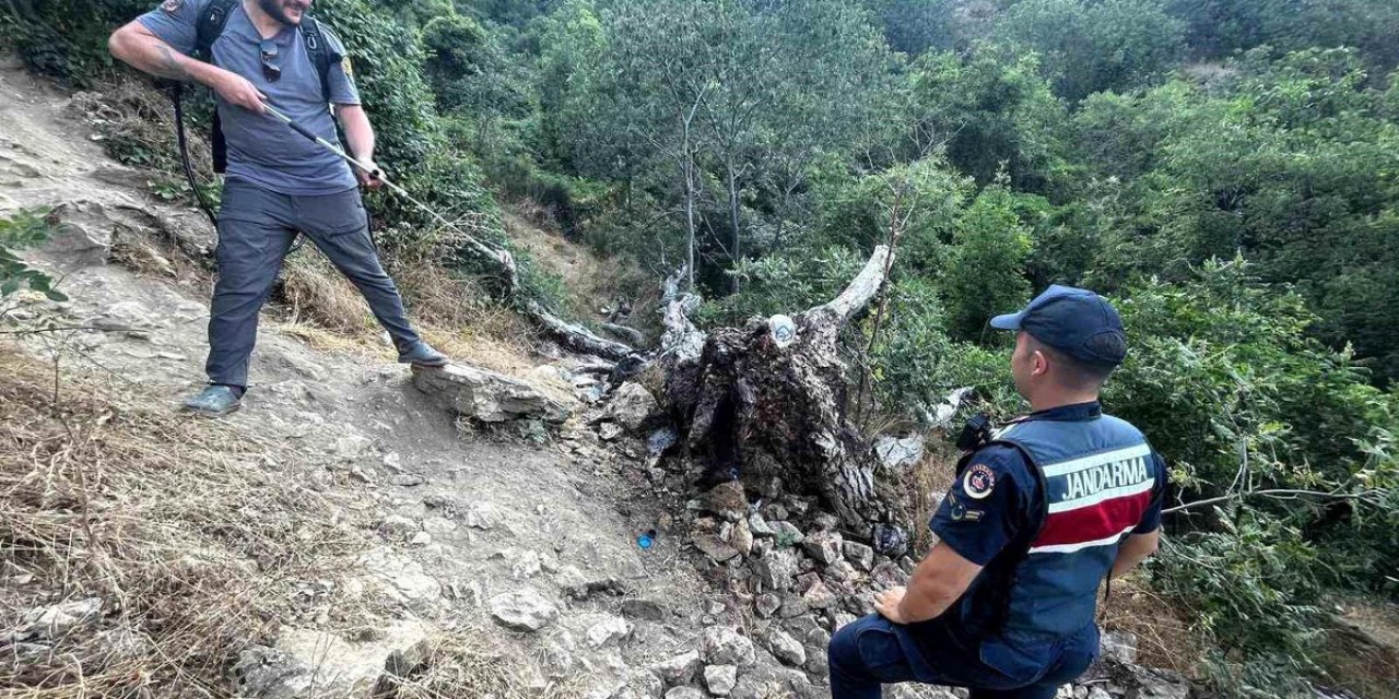 Bilecik'te Ağaç Yangını Korkuttu