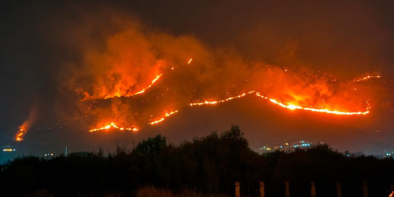 İtalya'nın Sicilya Adası Orman Yangınlarıyla Mücadele Ediyor