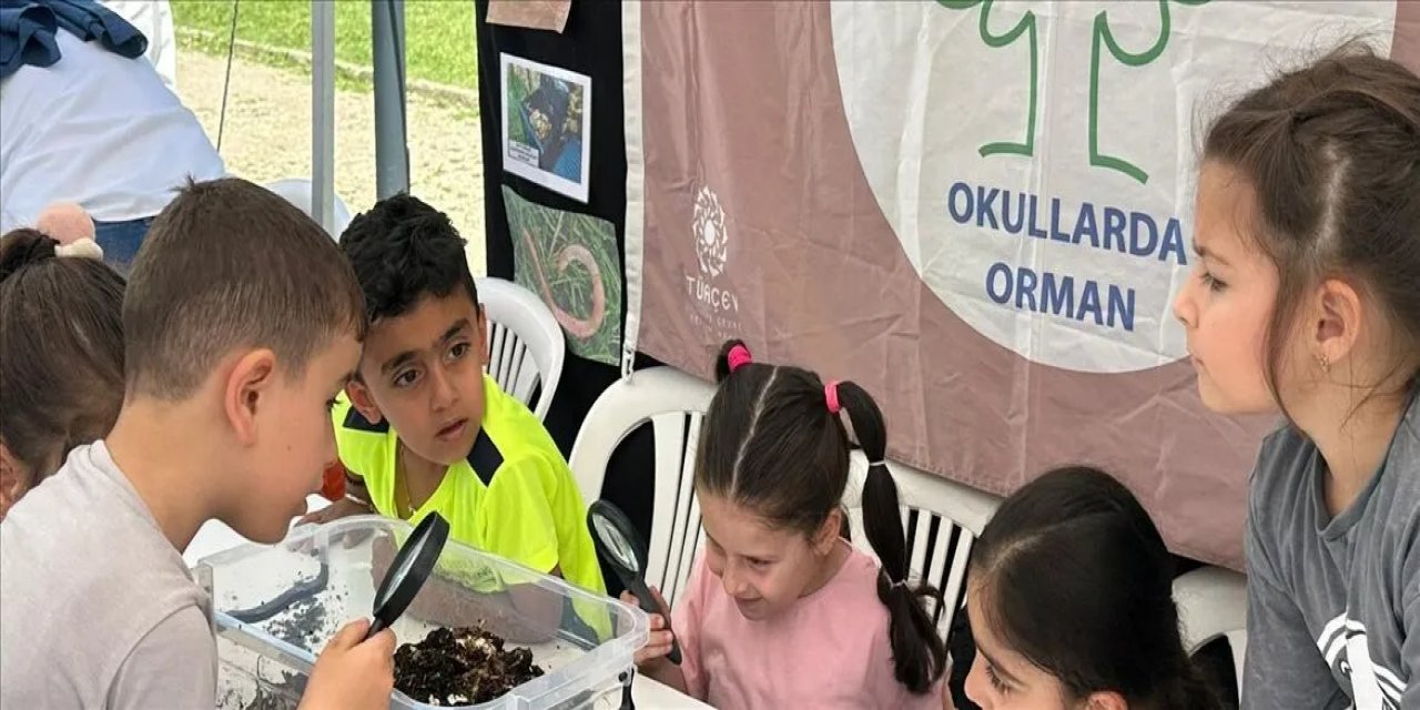 267 Okul "Orman Bayrağı" Almaya Hak Kazandı