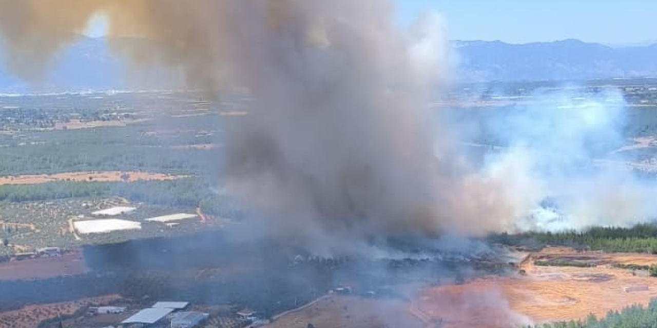 Antalya'da Orman Yangını
