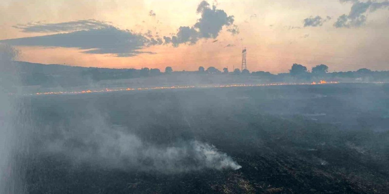 Gönen'de Geniş Alanda Çıkan Arazi Yangını Ekiplerin Müdahalesiyle Söndürüldü