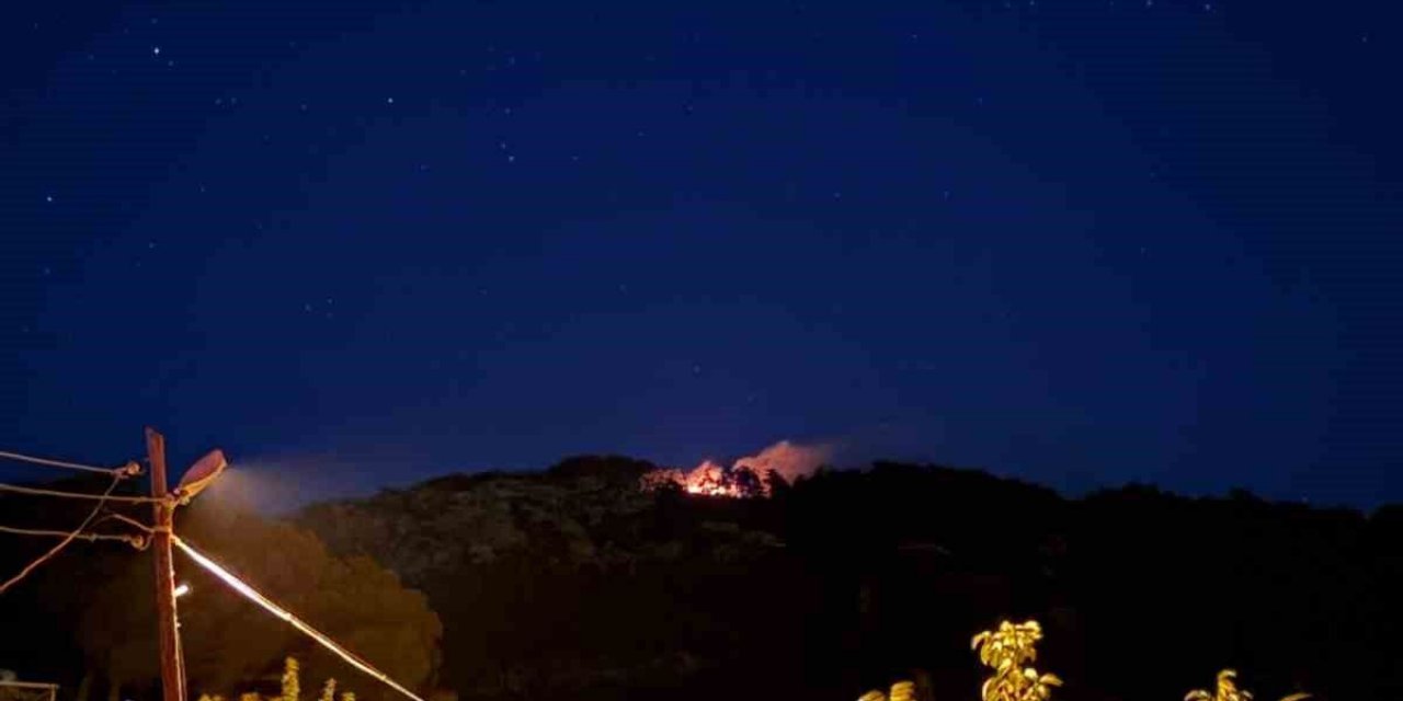 Muğla'da Orman Yangını