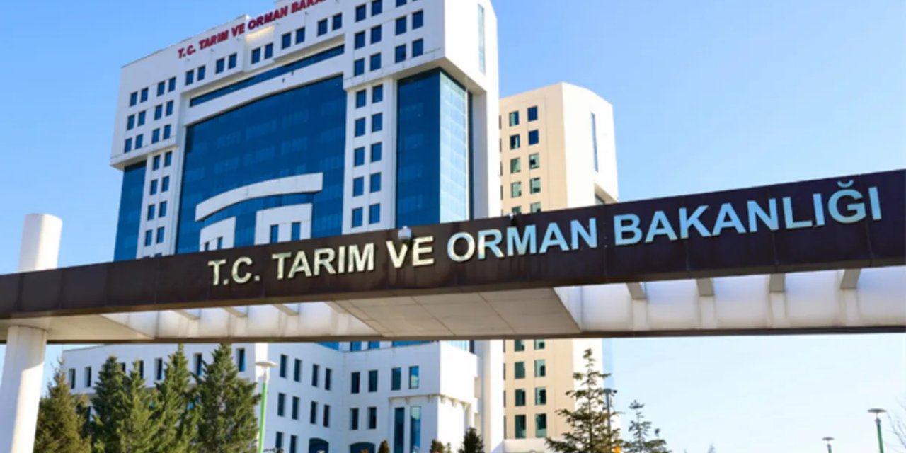 Tarım Ve Orman Bakanlığının 1874 Sözleşmeli Personel Alımına İlişkin Detaylar Belli Oldu