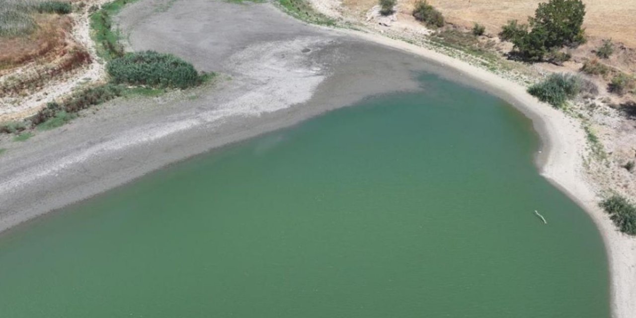 Edirne'de Gölete Elektrik Verildi: Yüzlerce Balık Telef Oldu