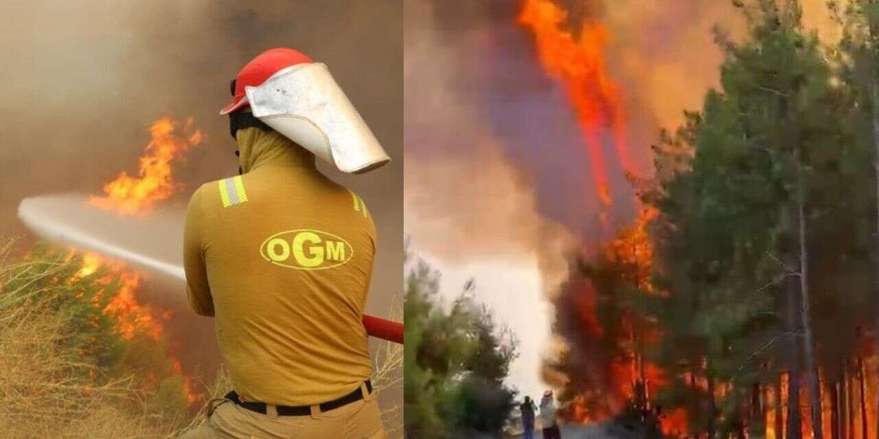 Yine Ciğerlerimiz Yanıyor! 6 İlde Orman Yangını