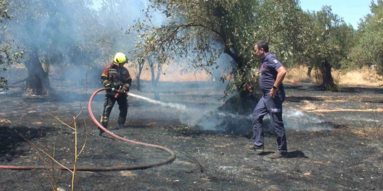 Burhaniye'de Ot Yangını Kontrol Altına Alındı