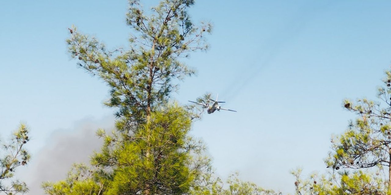 Fethiye'de Orman Yangınına Mücadele