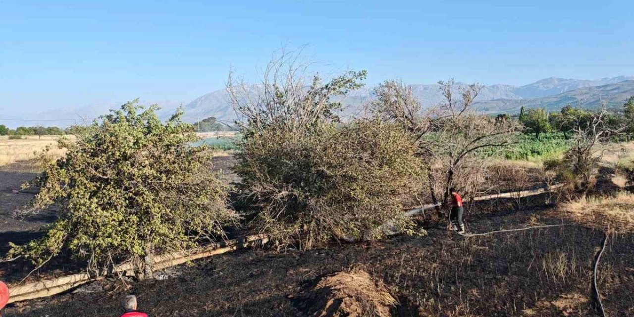 Elmaköy’deki Tarla Yangını Büyümeden Söndürüldü