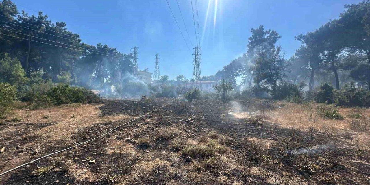 Manavgat'ta Ormanlık Alanda Çıkan Yangın Söndürüldü