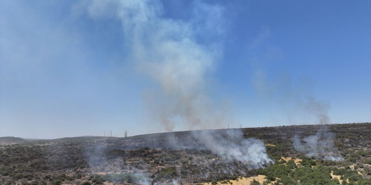Gaziantep'te Ormanlık Alanda Çıkan Yangın Kontrol Altına Alındı