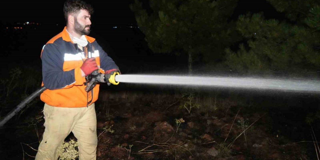Kırıkkale'de Orman Yangını Kontrol Altında