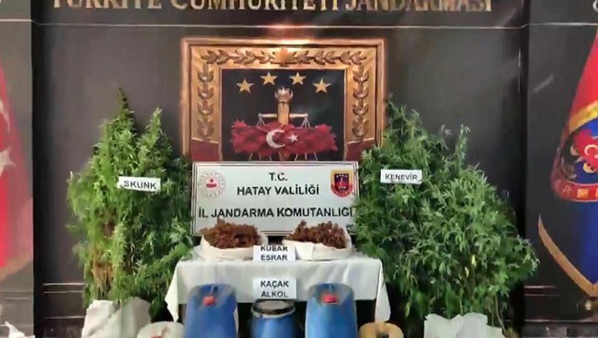 Hatay'da Kenevir Eken 2 Zehir Taciri Yakalandı