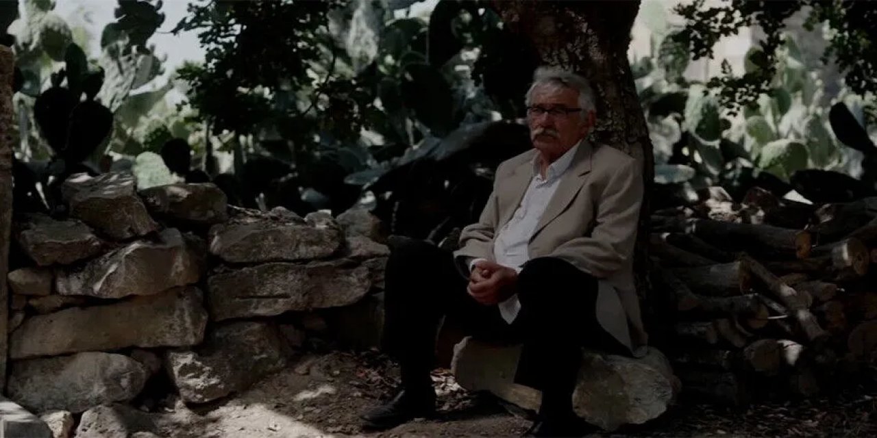 TRT Ortak Yapımı "Kesilmiş Bir Ağaç Gibi" Türkiye'nin Oscar Adayı Oldu