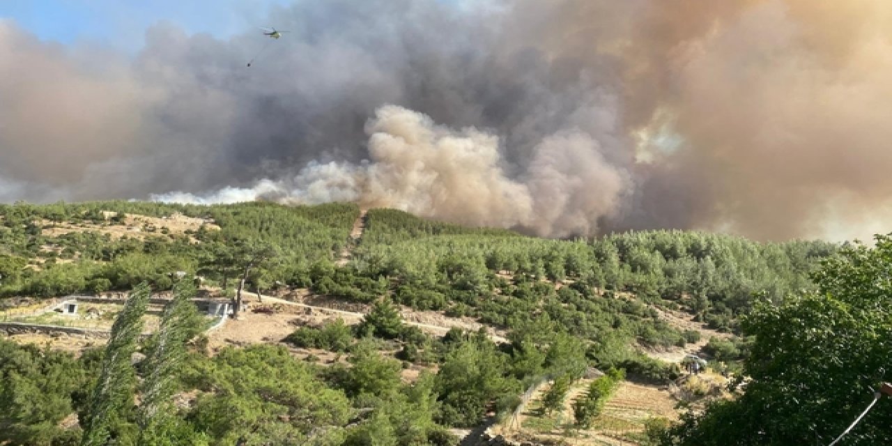 Aydın-Çine, Balıkesir-Susurluk Ve İzmir-buca Yangınları Tamamen Kontrol Altına Alındı