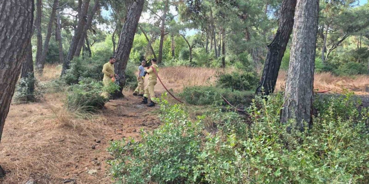 Heybeliada'da Orman Yangını Kontrol Altına Alındı