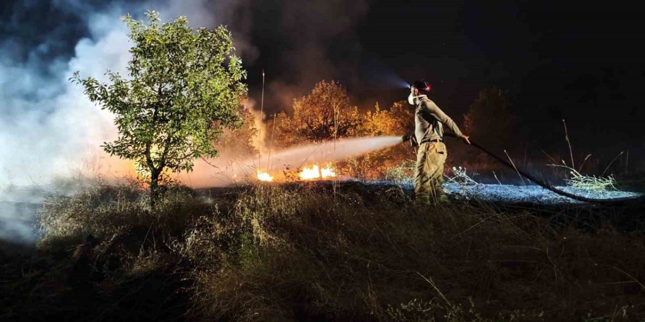 Karakoçan'da Orman Yangını