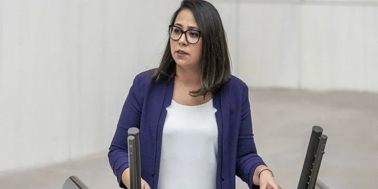 Sera Kadıgil Hakkında “Cumhurbaşkanına Hakaret” Ve “Tehdit” Soruşturması