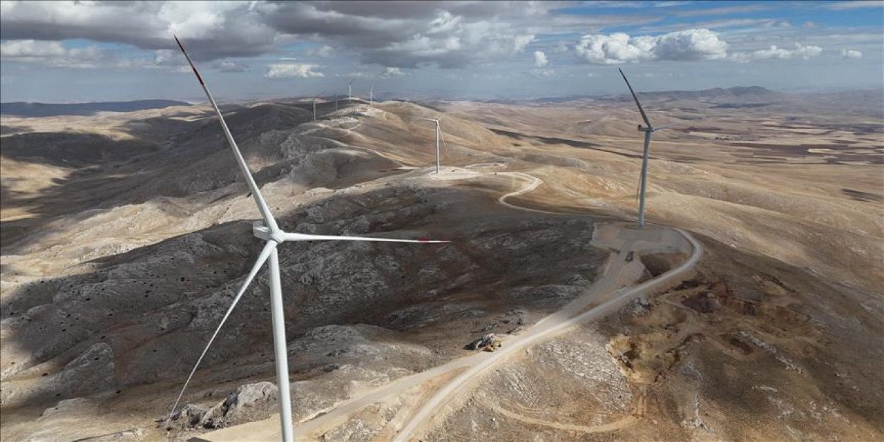 Borusan Enbw Enerji, Kıyıköy Res'te "Arı Otelleri" Projesiyle Doğa Temelli Çözüm Sunuyor