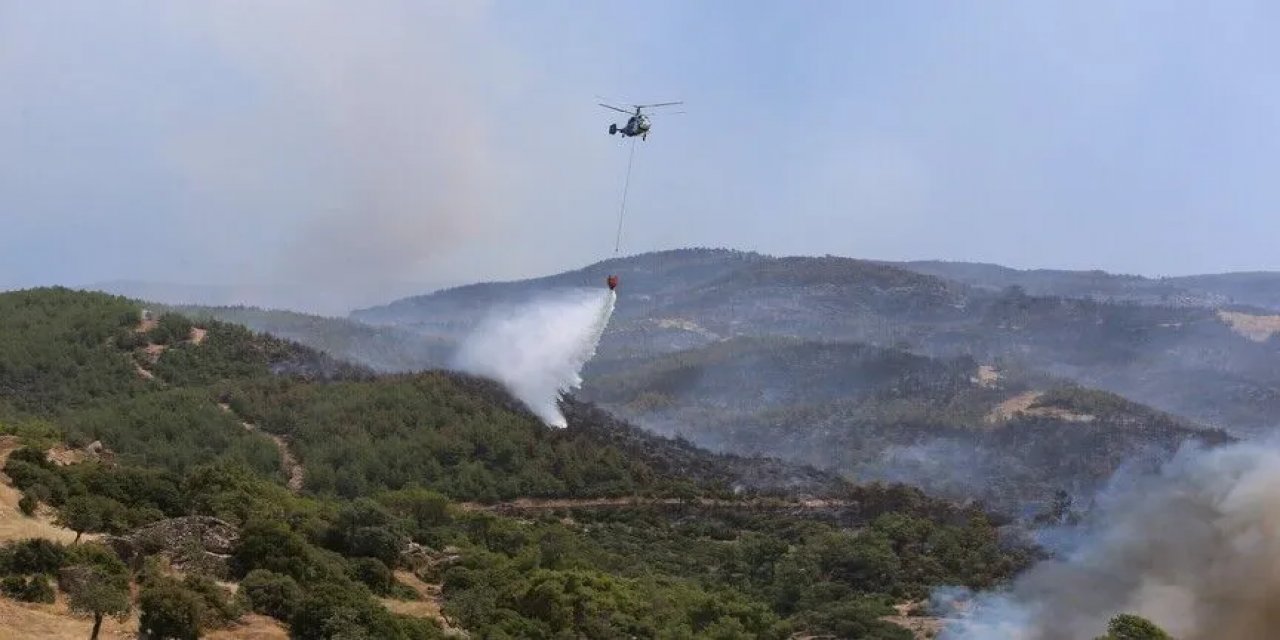 Aydın'ın Çine İlçesindeki Orman Yangınına İlişkin 2 Şüpheli Gözaltına Alındı