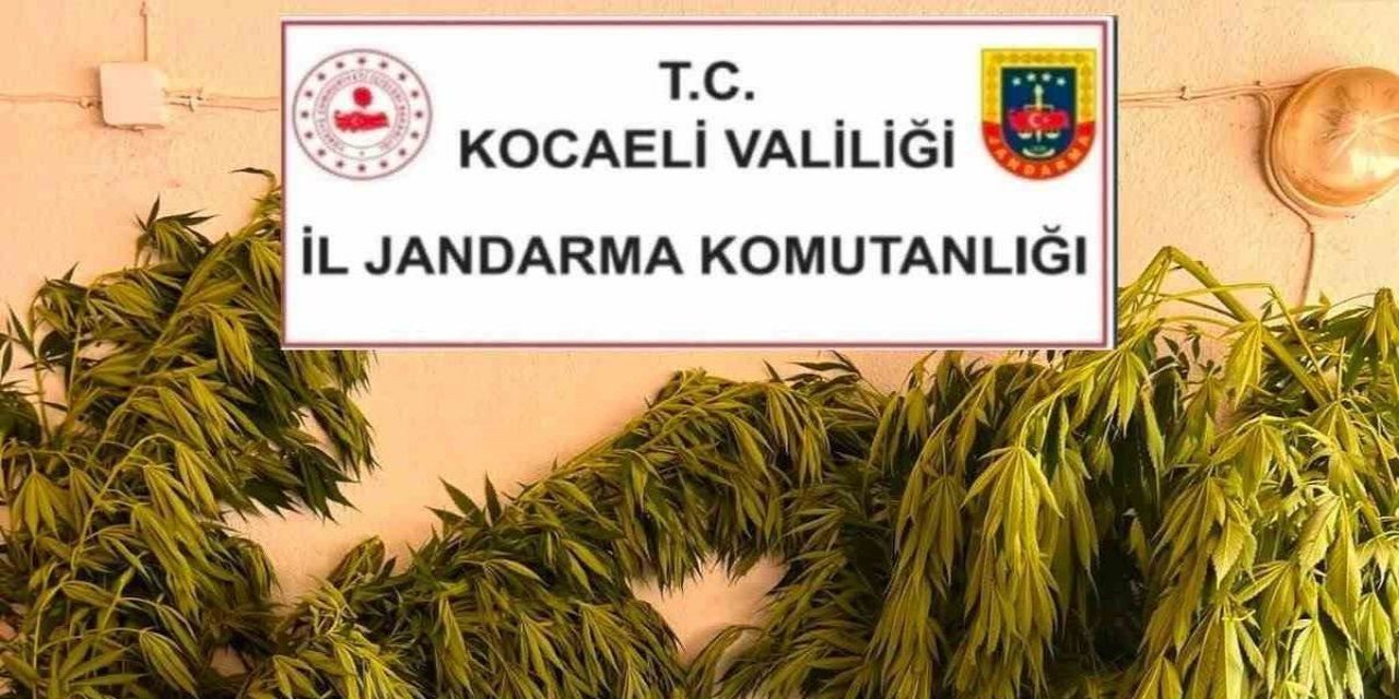 Kocaeli'de Uyuşturucu Operasyonları: 161 Şüpheli