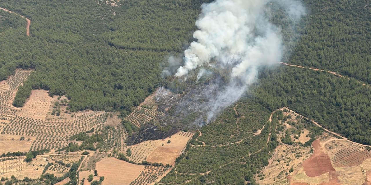 Yatağan'da Çıkan Orman Yangınına Müdahale Ediliyor
