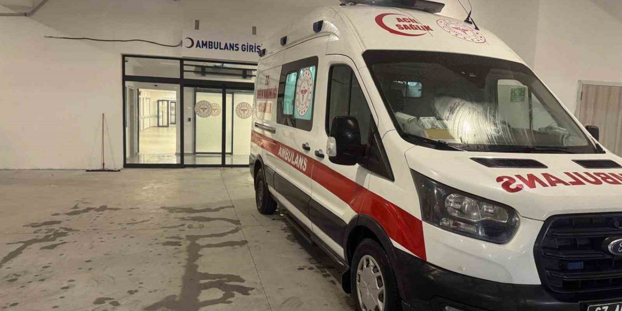 İncir Ağacından Düşen Adam Ağır Yaralandı