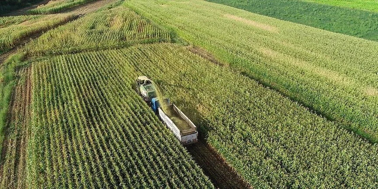 IPARD-III Programı Kapsamında Kırsaldaki Üreticiler İle Yatırımcılara Temmuzda 634,3 Milyon Lira Ödend