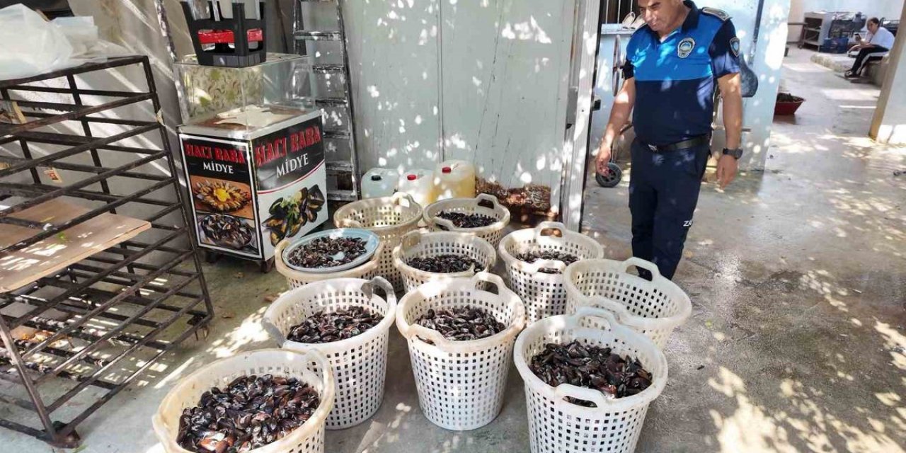 Mersin’de 200 Kilo Bozuk Midye Dolması Ele Geçirildi