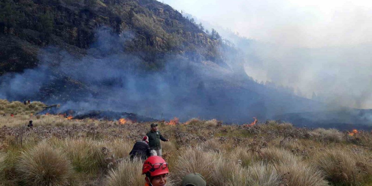 Bromo Dağı'nda Yangın: 60 Hektar Yandı