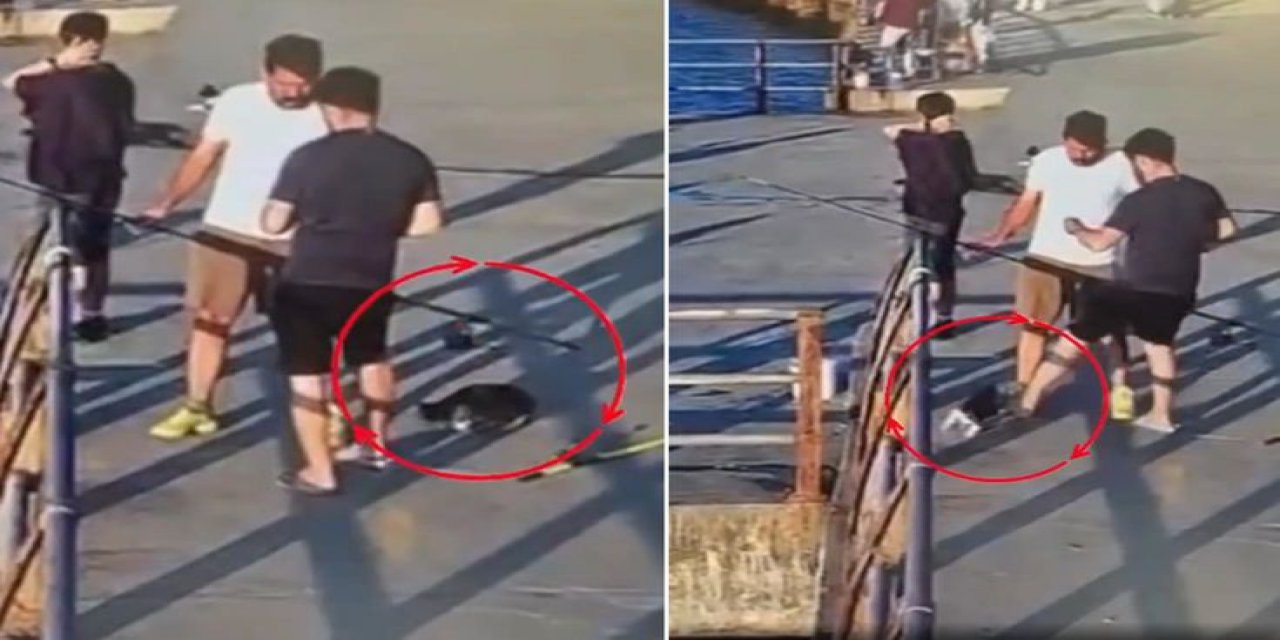 Üsküdar’da Kediye Tekme Atıp Denize Düşürdü! Çevredekiler Tepki Gösterdi