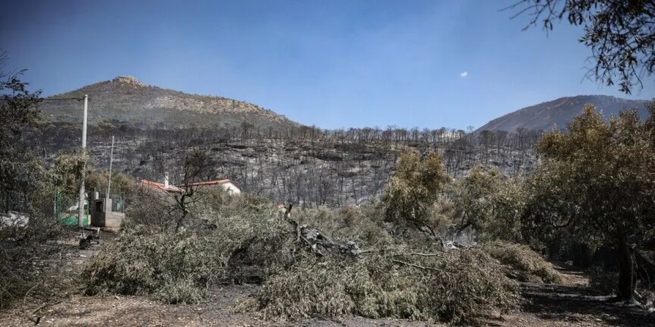 Yunanistan'da Son Dönemdeki Yangınlarda 118 Bina Kullanılamaz Hale Geldi