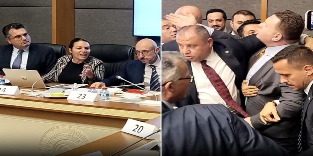 Ayyüce Türkeş'ten MHP'ye Sert Sözler! Komisyonda Ortalık Bir Anda Karıştı