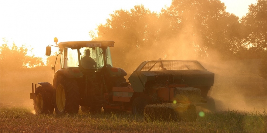 Tarım Girişimcisine 50 Milyon Avroluk Ipard-ıı Hibesi Verilecek