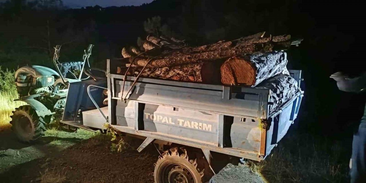 Antakya'da Usulsüz Orman Kesimi İhbarı