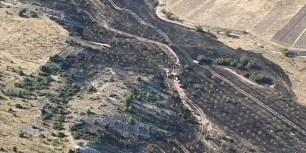 Nallıhan'da Tarım Arazisinde Yangın