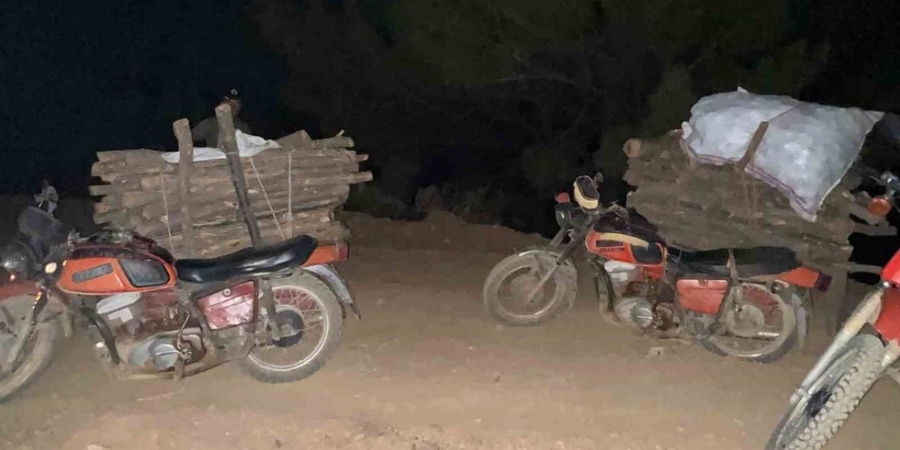 Hassa'da Ormanda Usulsüz Kesim Yakalandı