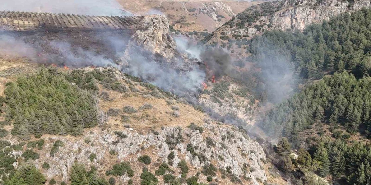 Hatay’daki Orman Yangını Kontrol Altına Alındı
