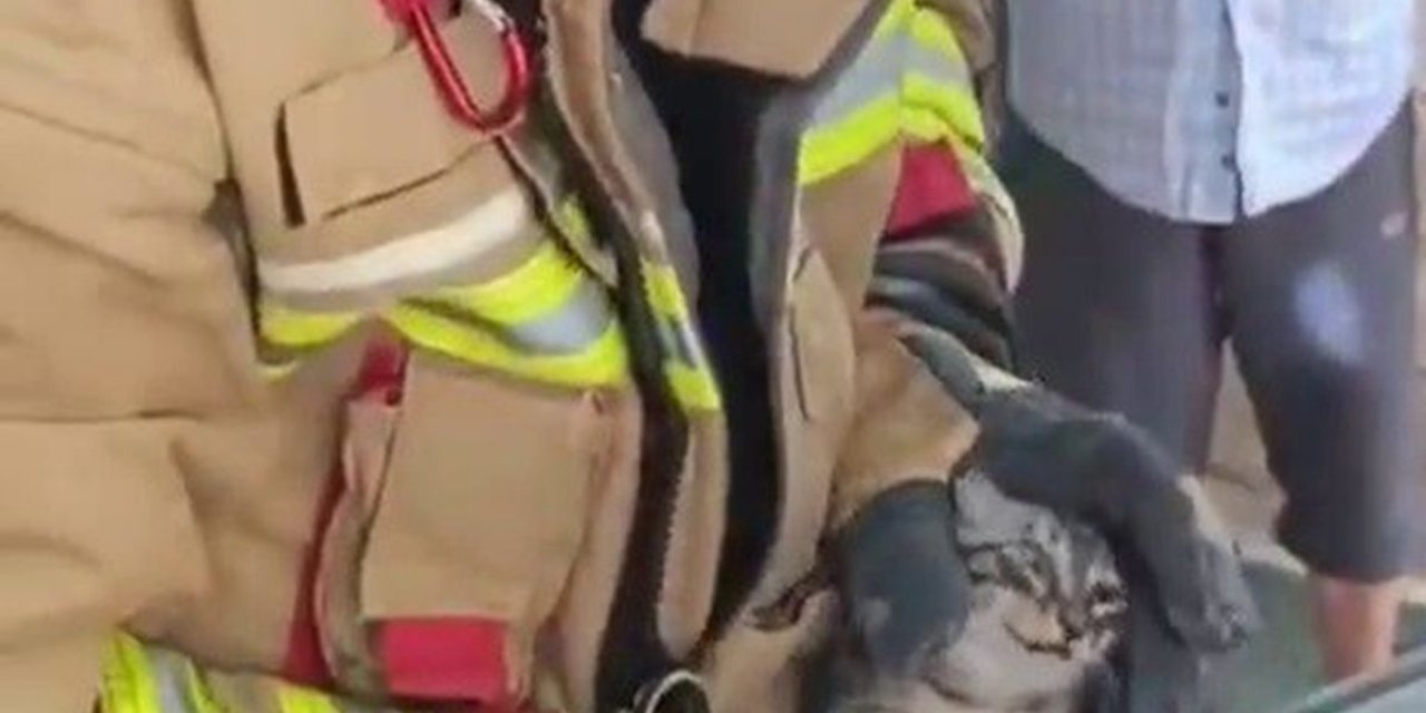 İtfaiyeciden Kendini 1 Saat Uğraştıran Yavru Kediye Yürek Isıtan Karşılama